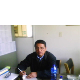 Prof. José David Villavicencio Salinas