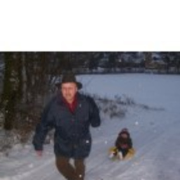 Hans Nikol