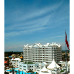 ALİ YİĞİT