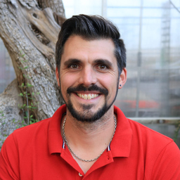 Andreas Hibler