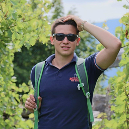 Ivan Pavić
