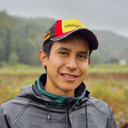 Mesías David Castillo