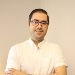 Hamidreza Babakeshizadeh
