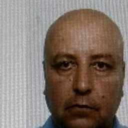 mohammad alfalah