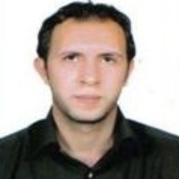 Moustafa Aboueliwa