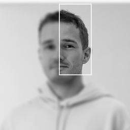 Moritz Keßler's profile picture