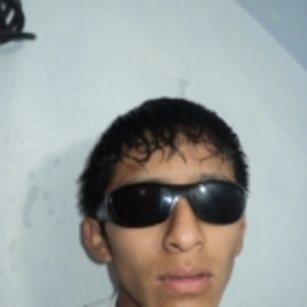 Elvis Lopez - avfdfcvf - dvfdvf | XING