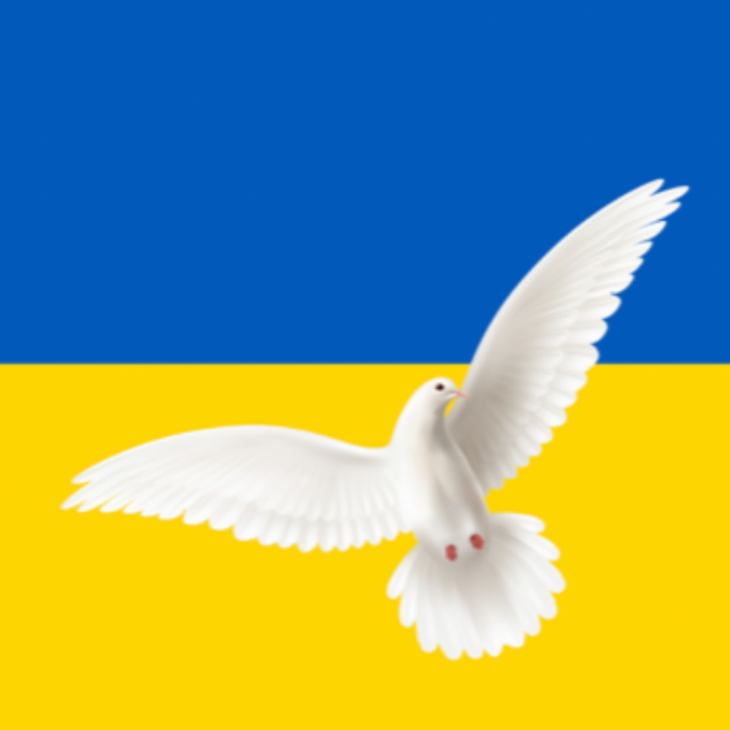 Jana Mischke Kaufmännische Werkleiterin / Personalleiterin