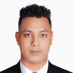 AMR ALI ABDULLAH