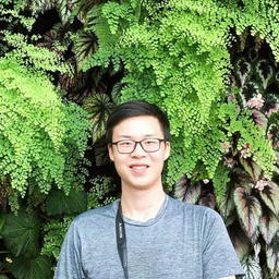 Tian Pu