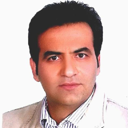 Reza Fereidooni Shamsabadi