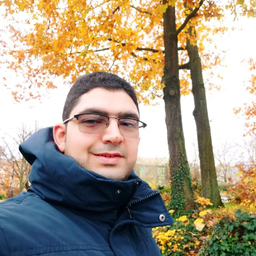 Abouelfotouh Elmetwalli