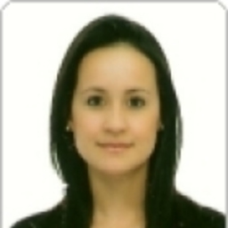 N.N. briceño saavedra