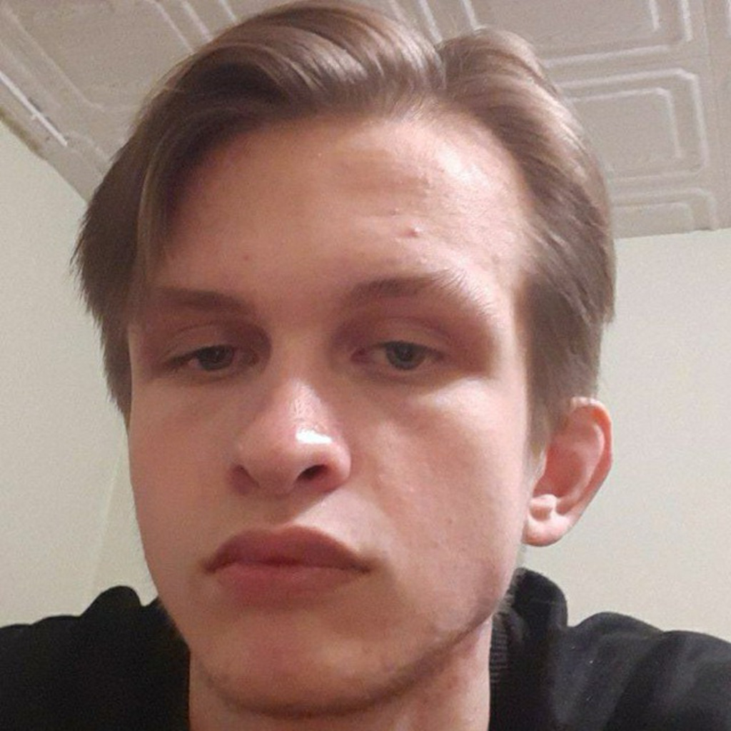 Alexander Nevsky Middle fullstack web developer proNEGO XING