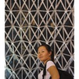 Prof. Dr. Wenwen Huang