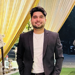 aditya narula