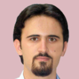 Ali Salmani