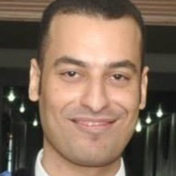 Ahmed ElNaggar
