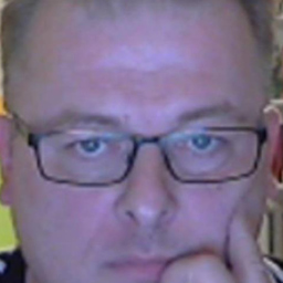 Dragan Vodjevic