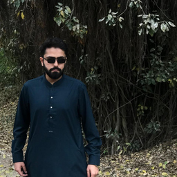 Hasan Tariq