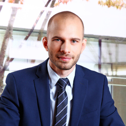 Luka Ilic