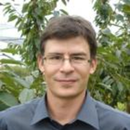 Stefan Niederhauser's profile picture