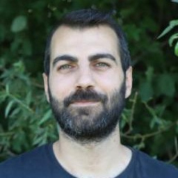 Davut Bor