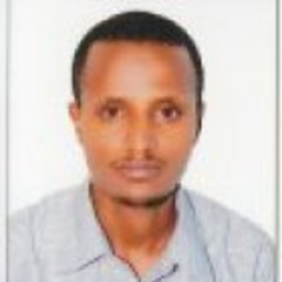 Adino Asmare Yimer