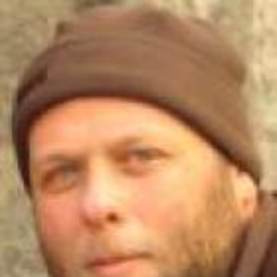 domenico gambino