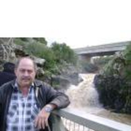 Amnon Leibovici