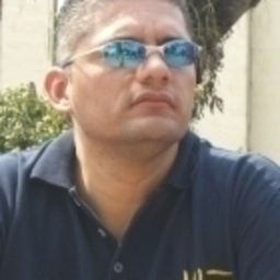 Prof. Mauricio Alvarado