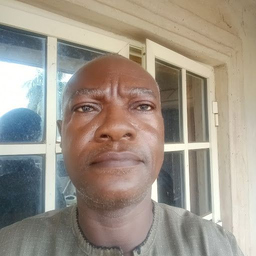 Adekoya David