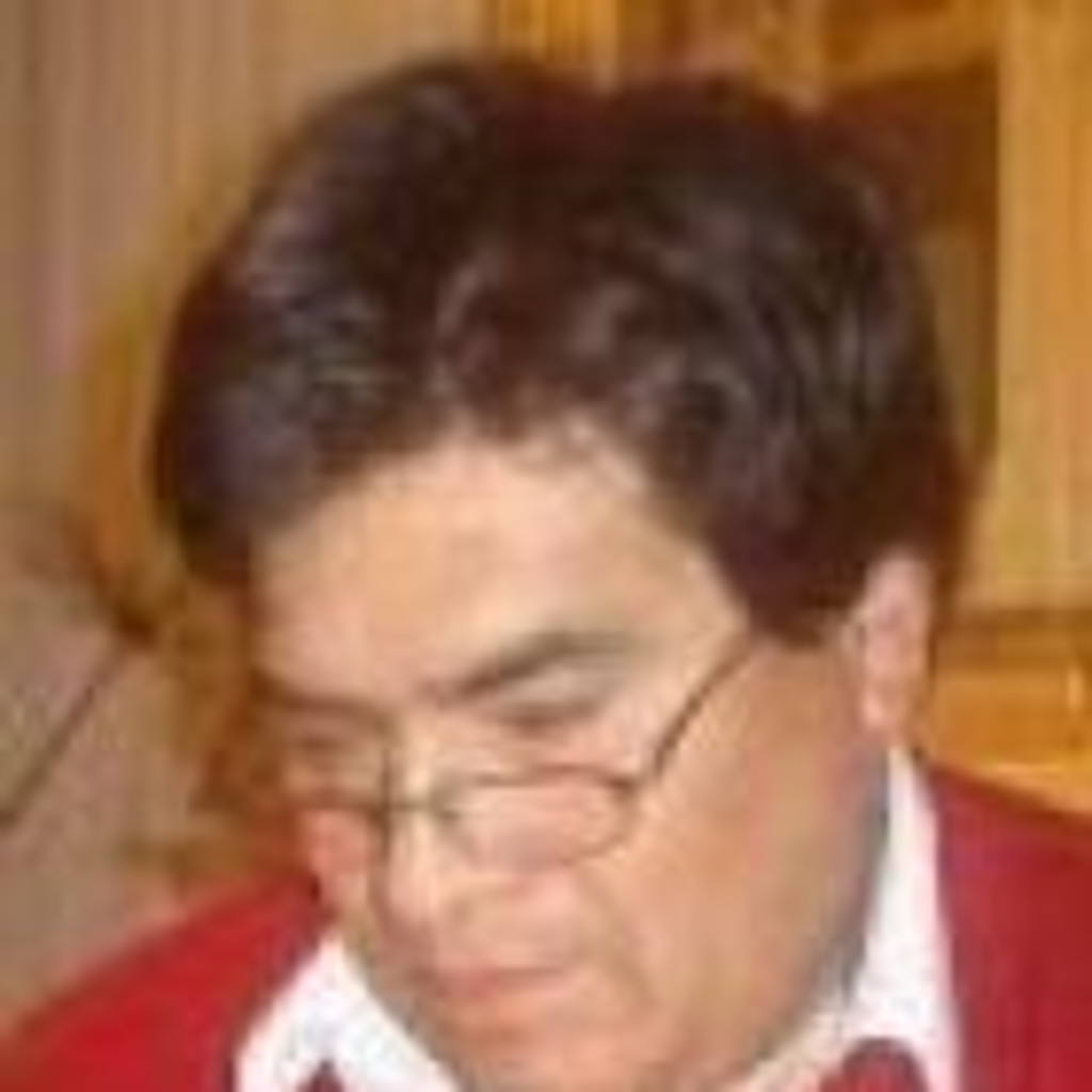 Carlos Pacheco Z. Ingeniero Civil/Gerente de proyecto P.C.A