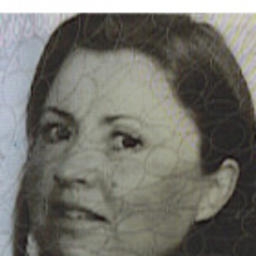 Jenny C H Lindquist