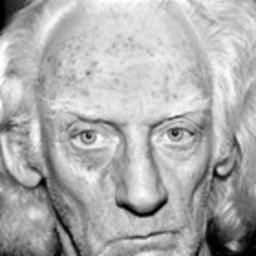 Prof. Dr. Uwe U. Uwsen