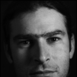Karim Stein