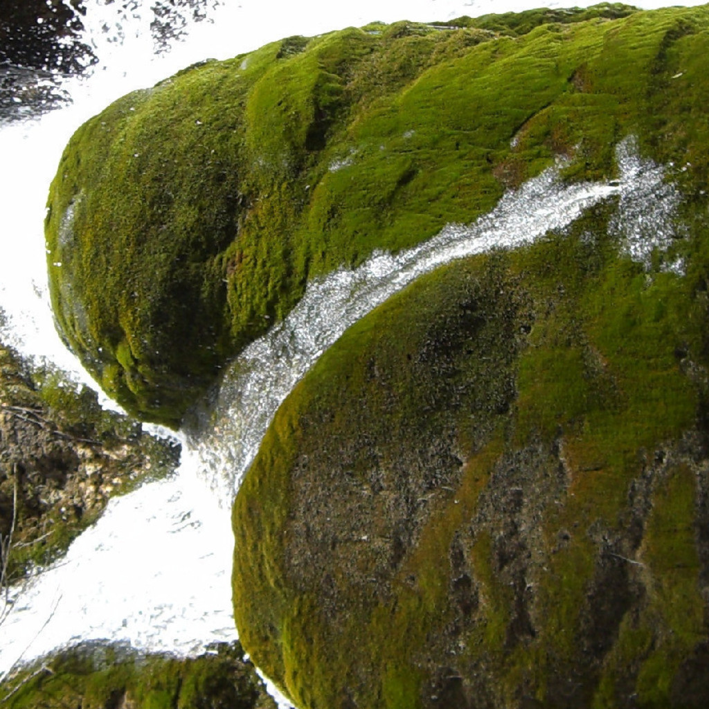 Ying Gu Strategic Program Manager International Knürr GmbH XING