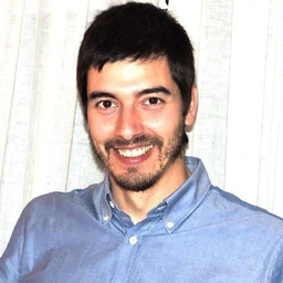 Luis van den Berg