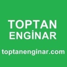 Toptan Enginar