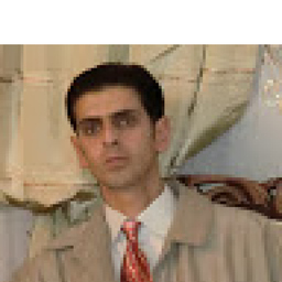 Nima-Ajouidani Zanjani