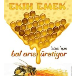 Ekinemek Gida