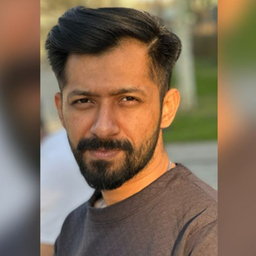 Syed Hunain Raza Zaidi