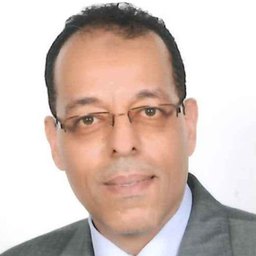 Amr El-Maghraby