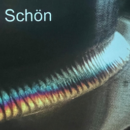 Benjamin SCHÖN