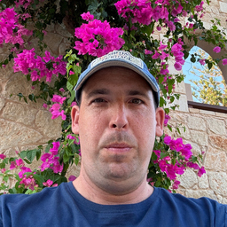 Dennis Immerini's profile picture