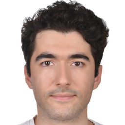 A. Furkan Halitogullari