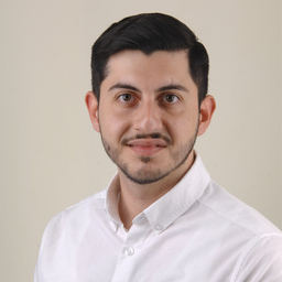 Samir Avdi