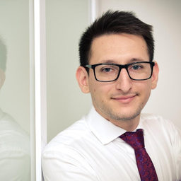 Ing. Vlad Gavris's profile picture