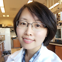 Dr. Shangping Wang