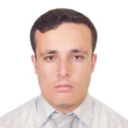 Wael AboGhanem